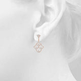 41046 supplied earring product photograph
