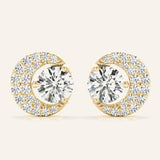 41071 supplied earring product photograph