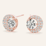 41071 supplied earring product photograph