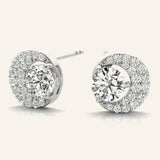 41071 supplied earring product photograph