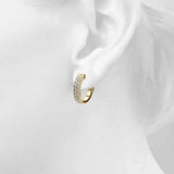 41116 supplied earring product photograph