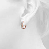 41116 supplied earring product photograph